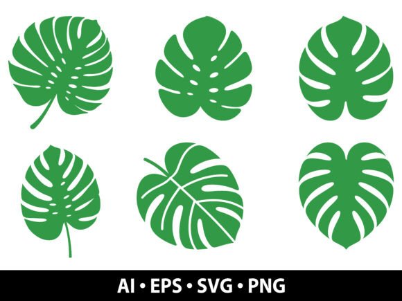 Download Monstera Leaf SVG Bundle - Monstera Collection