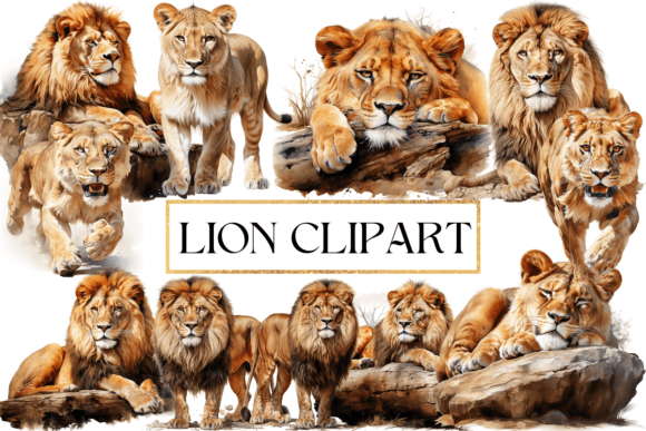 Download Lion Clipart - Lion Collection