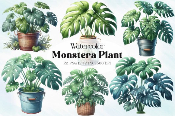 Download Monstera Plant Clipart - Monstera Collection