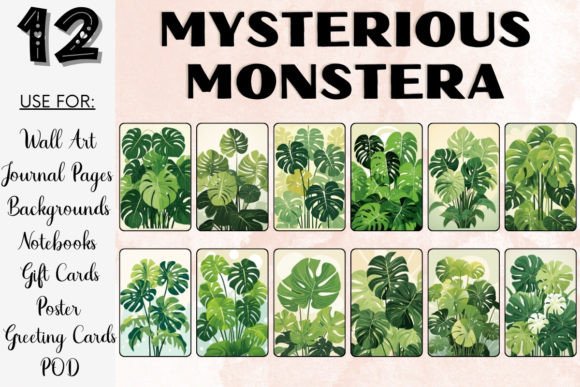 Download Mysterious Monstera Plant PNG Bundle - Monstera Collection