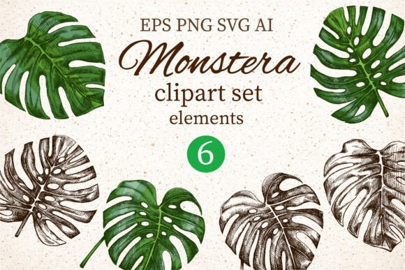 Download Monstera Clipart Set Elements - Monstera Collection