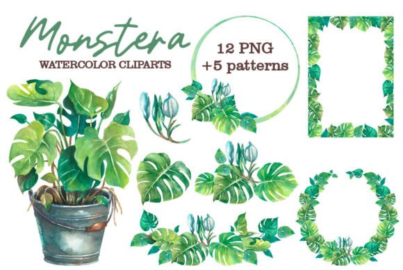 Download Monstera Watercolor Clipart - Monstera Collection