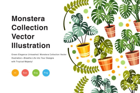 Download Monstera Collection Vector Illustration - Monstera Collection