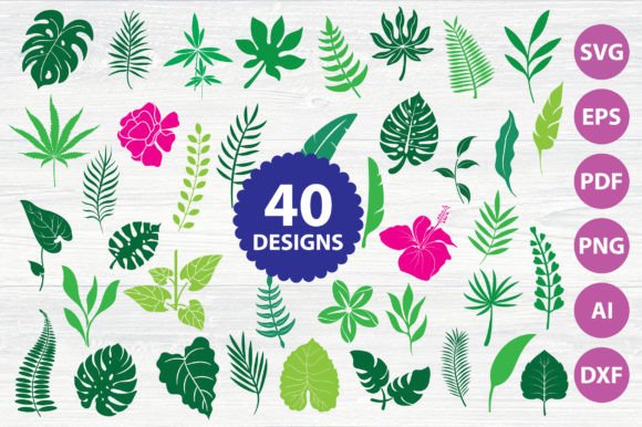 Download Monstera | Greenery | Tropical | Leaves - Monstera Collection