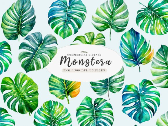 Download Greenery Monstera Leaves Clipart - Monstera Collection