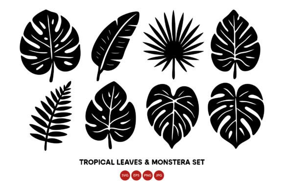 Download Tropical Leaves and Monstera Leaf Vecto - Monstera Collection