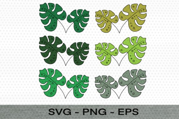 Download Monstera Leaves Color&nbsp; - Monstera Collection