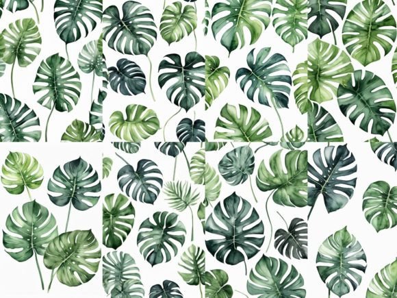 Download 32 Images Monstera Leaves Watercolor - Monstera Collection