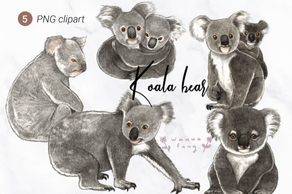 Download Koala Bear Watercolor Animal Clipart, PN - Koala Collection